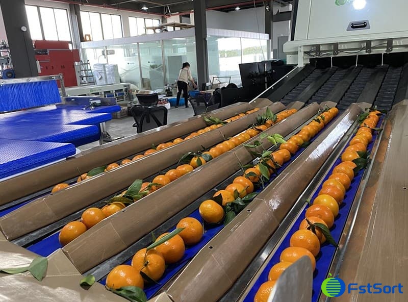 images/1688114161604lime processing line.jpg